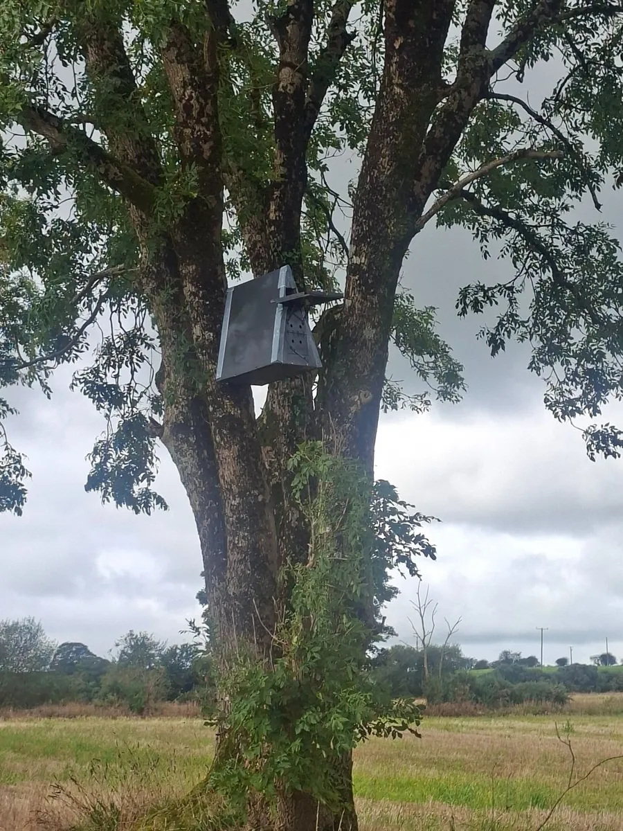 Outdoor Barn Owl Nest Box - Image 1