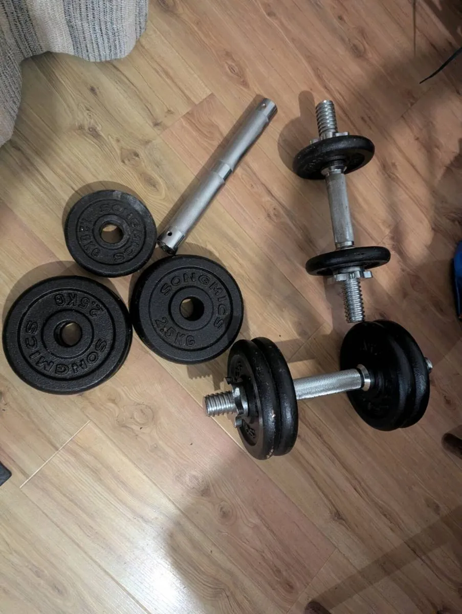 Dumbbells - Image 1