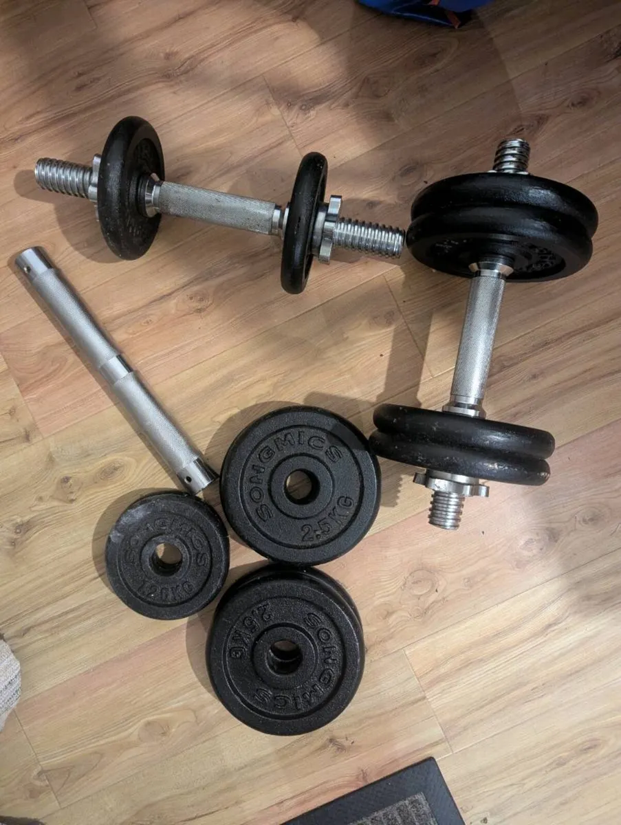 Dumbbells - Image 2