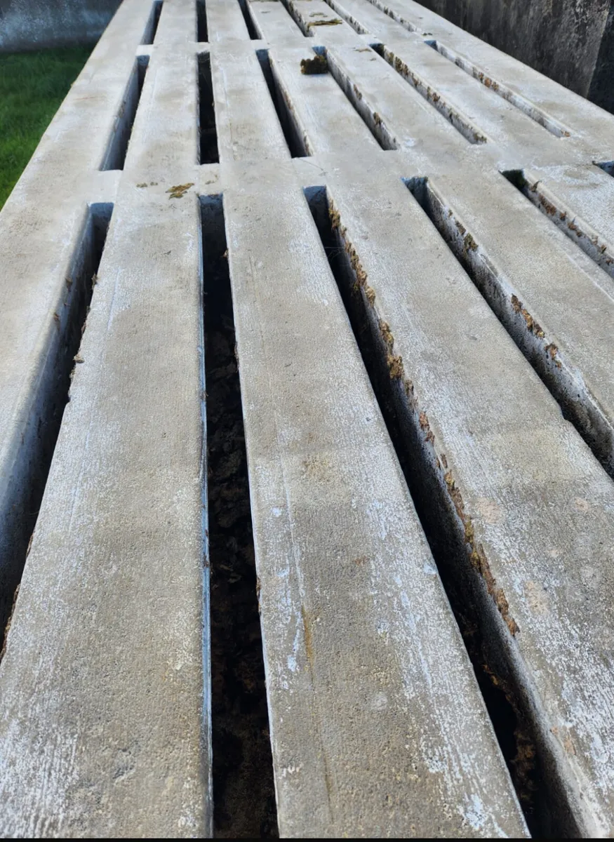 Cattle Slats