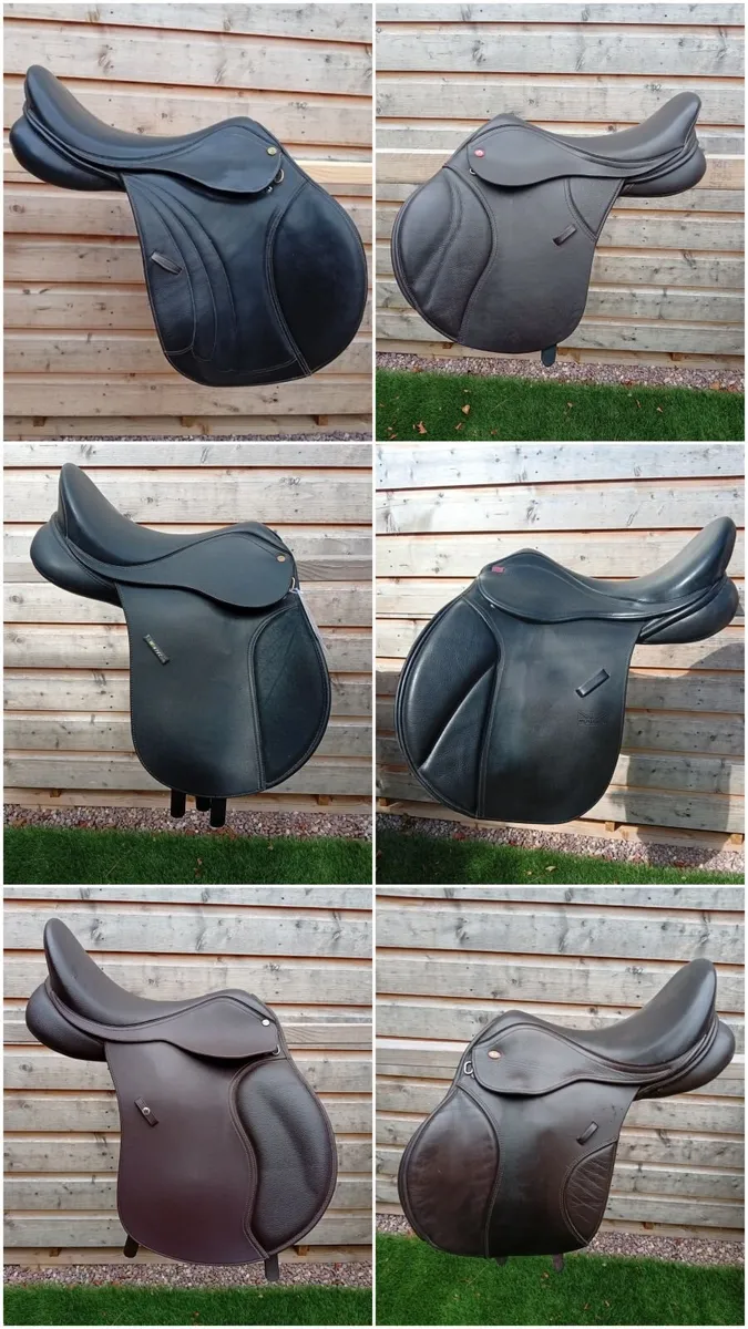 Saddle fitting and saddles - Image 1