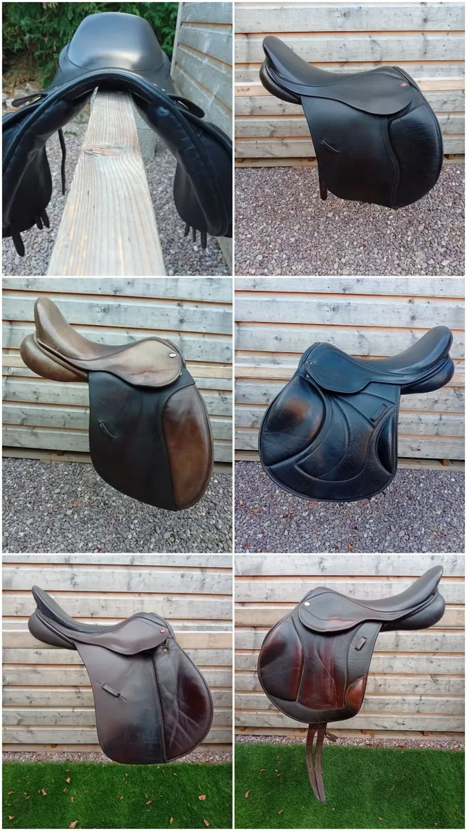 Saddle fitting and saddles - Image 2
