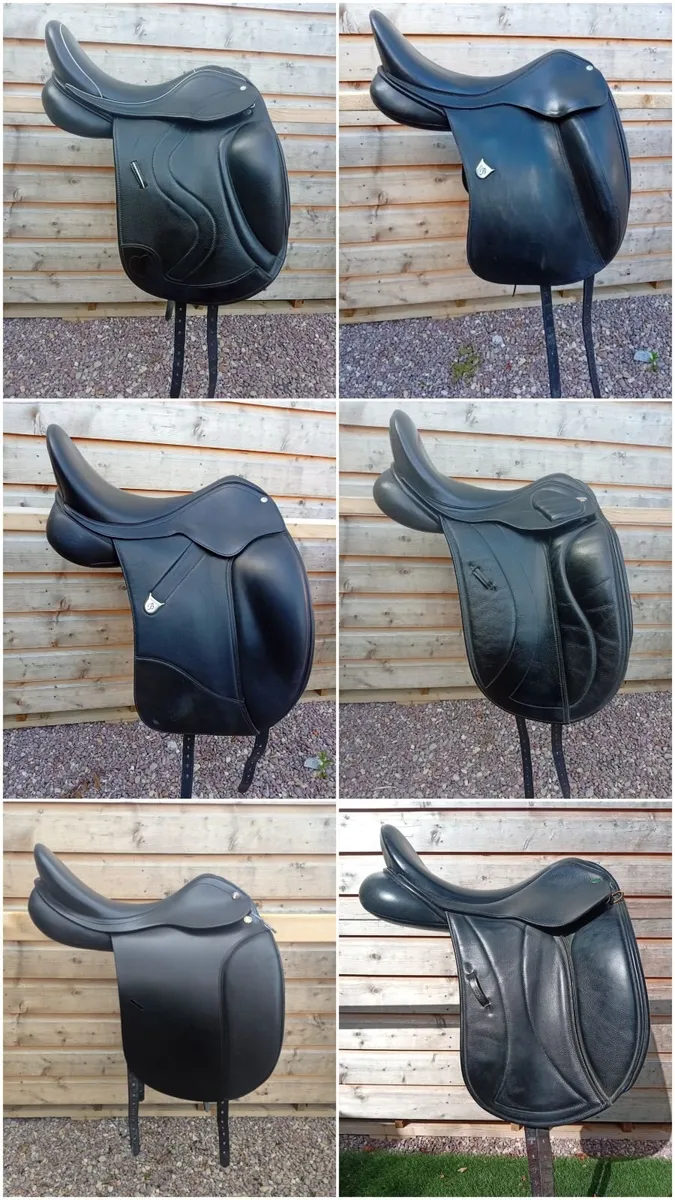 Saddle fitting and saddles - Image 4