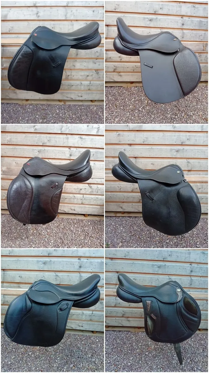 Saddle fitting and saddles - Image 3