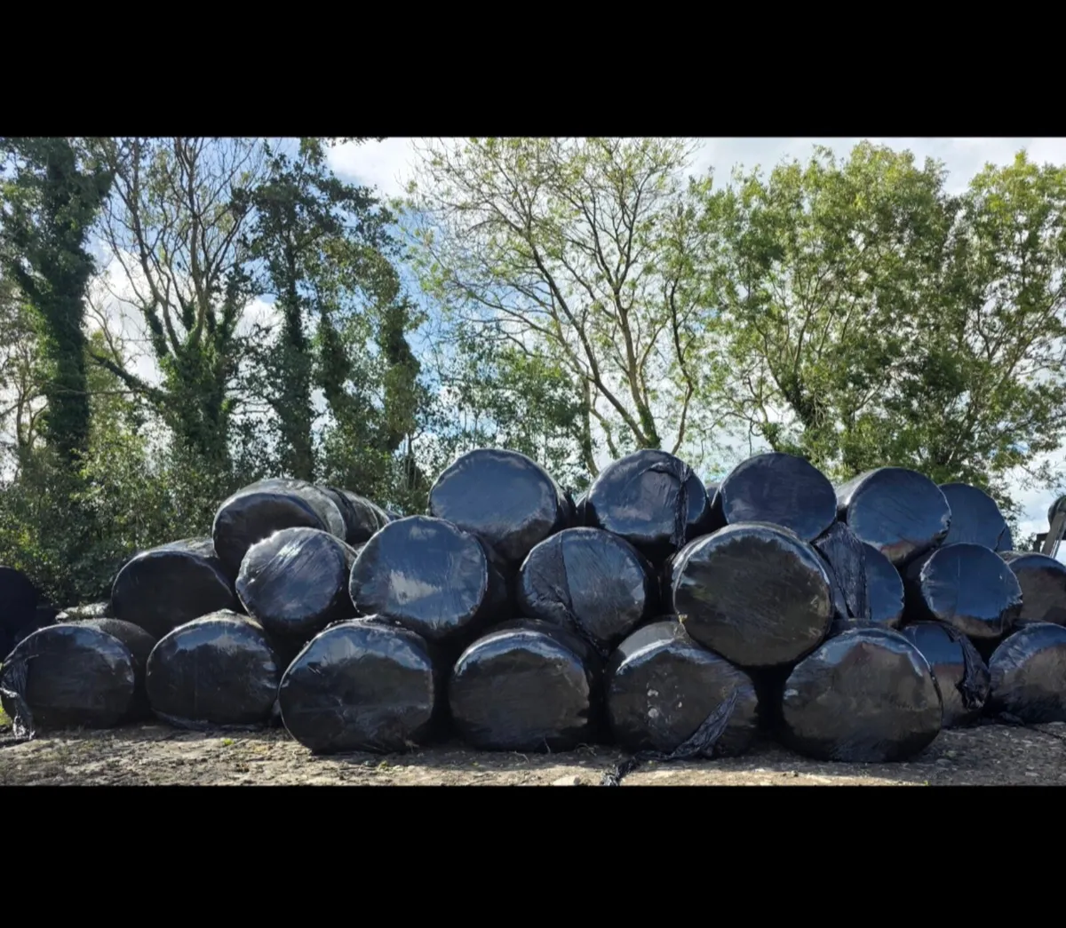 Round Bales - Image 1