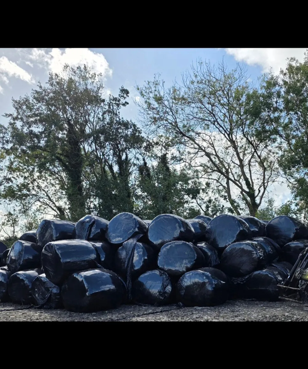 Round Bales - Image 2