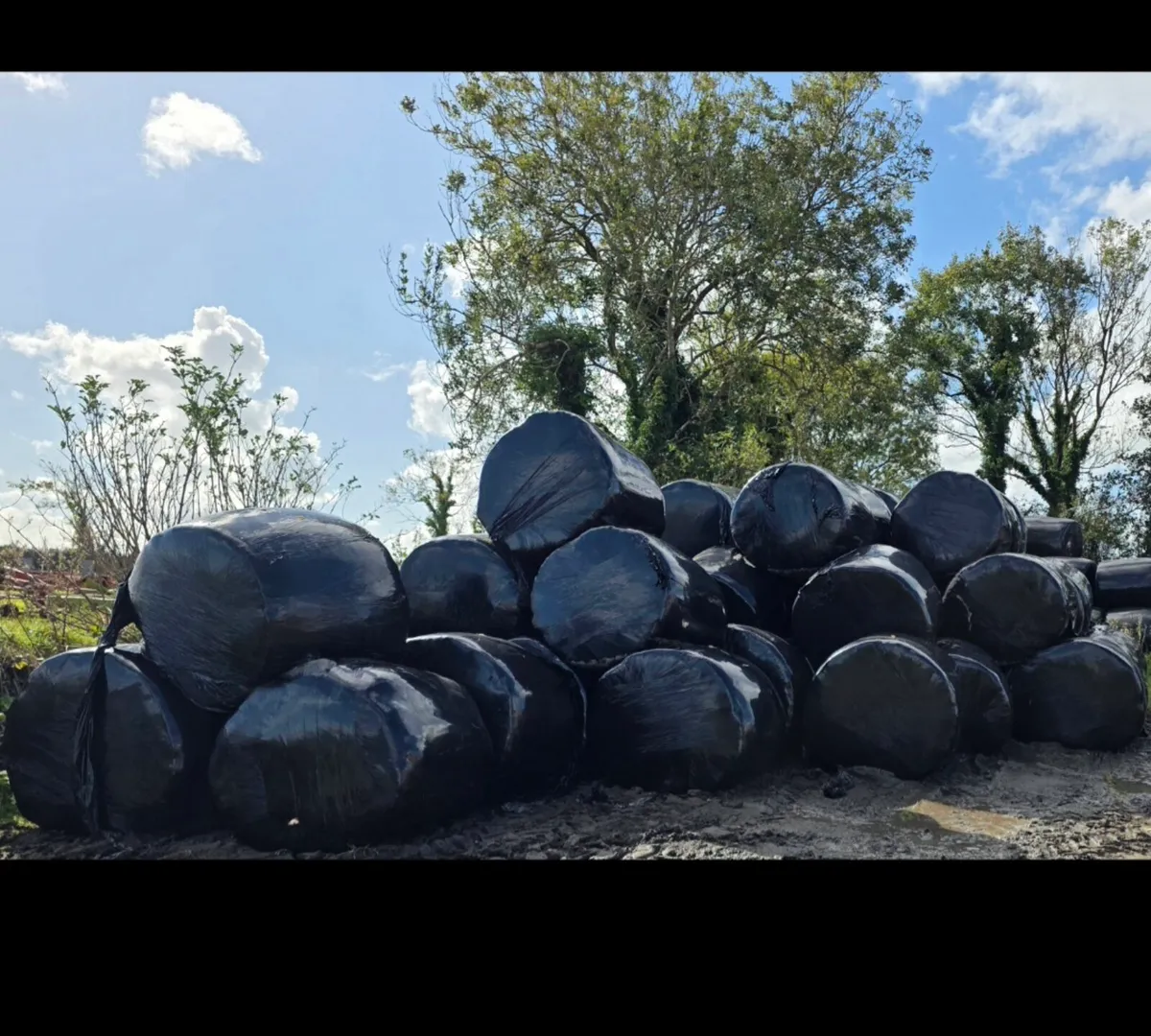 Round Bales - Image 3