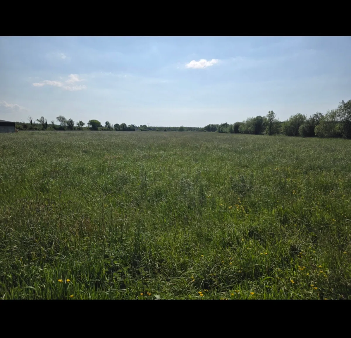 Round Bales - Image 4