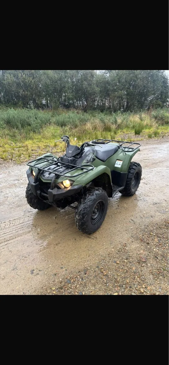2020 Yamaha Kodiak 450 - Image 1