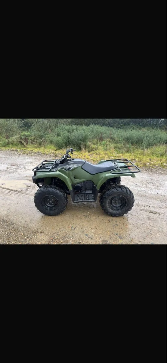 2020 Yamaha Kodiak 450 - Image 2