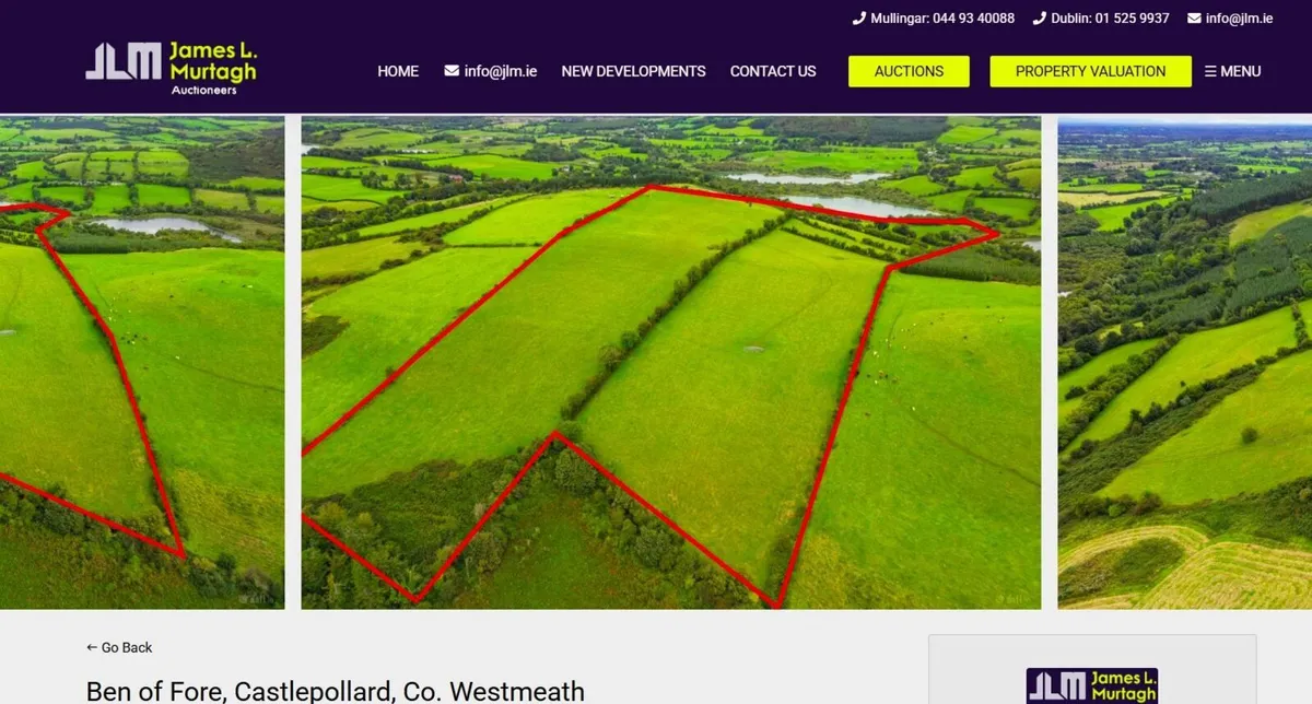 50.6 Acre Non-Residential  Farm ,   Castlepollard. - Image 2