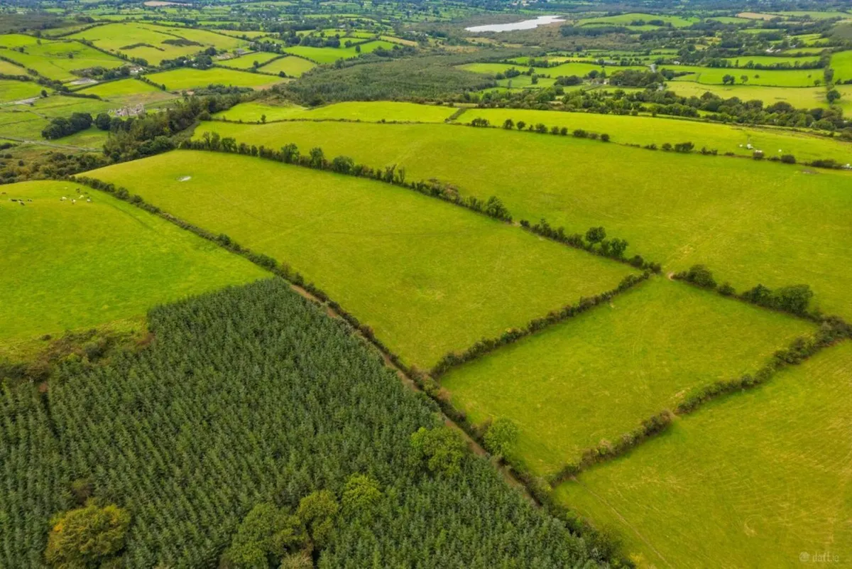 50.6 Acre Non-Residential  Farm ,   Castlepollard. - Image 1