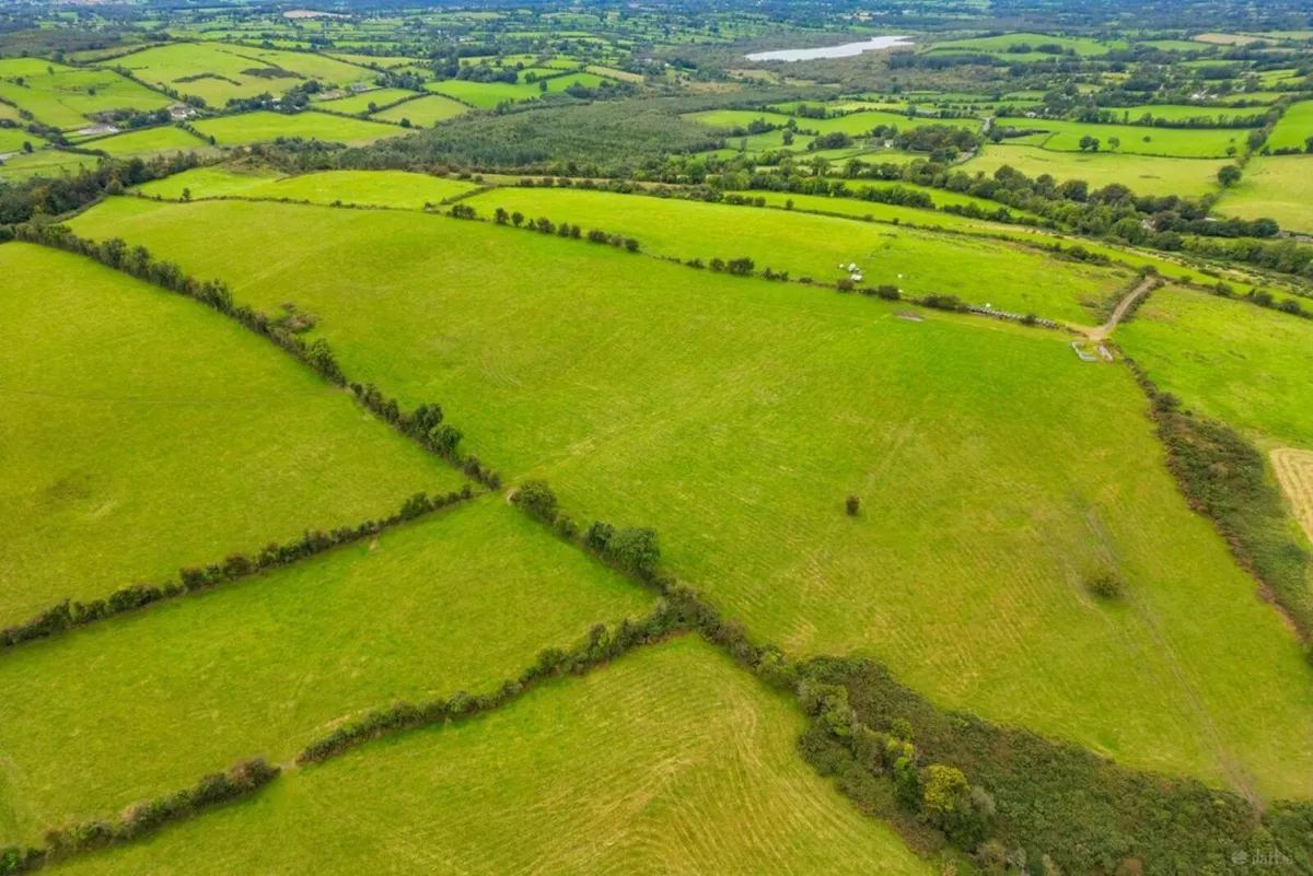 50.6 Acre Non-Residential  Farm ,   Castlepollard. - Image 3