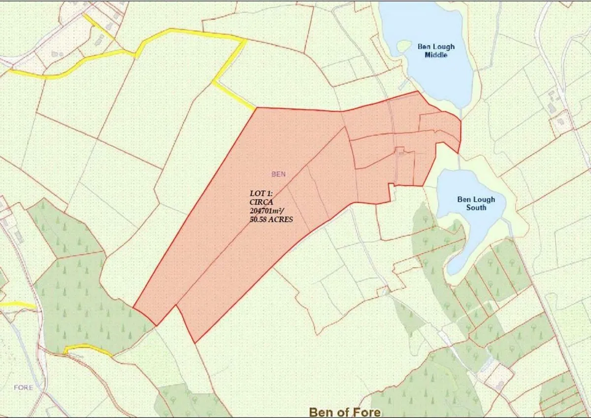 50.6 Acre Non-Residential  Farm ,   Castlepollard. - Image 4