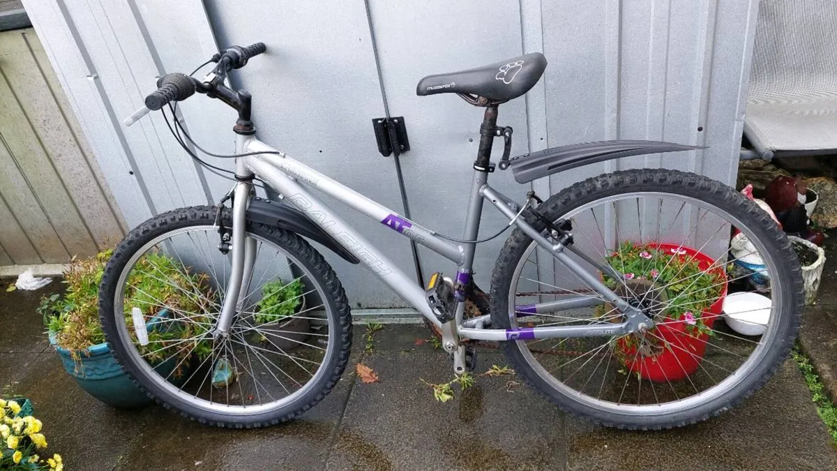 Raleigh AT5 All Terrain Bike Medium Frame 💯% - Image 2