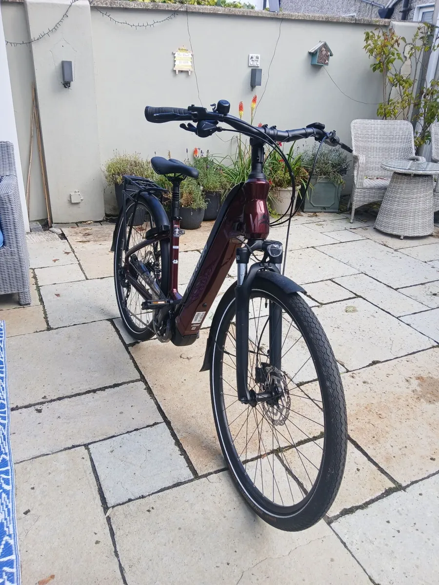 Electric Bike - Image 2