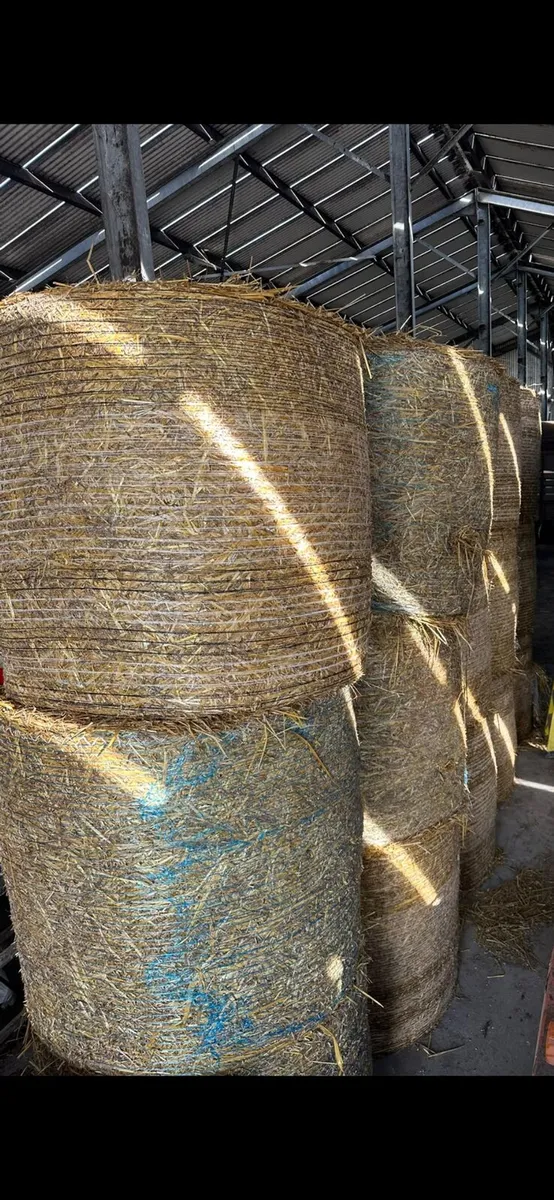 Straw