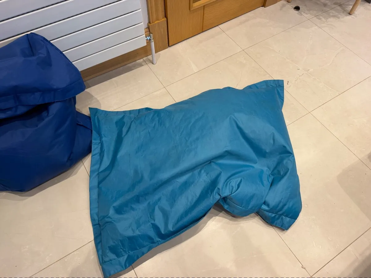 Beanbag - Image 2