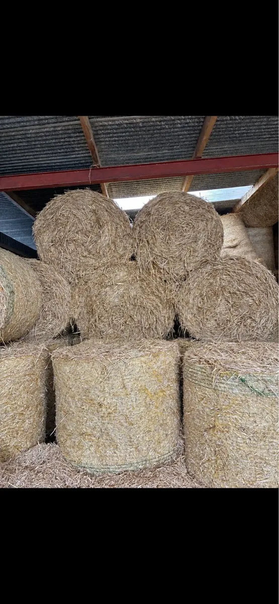 Straw - Image 1