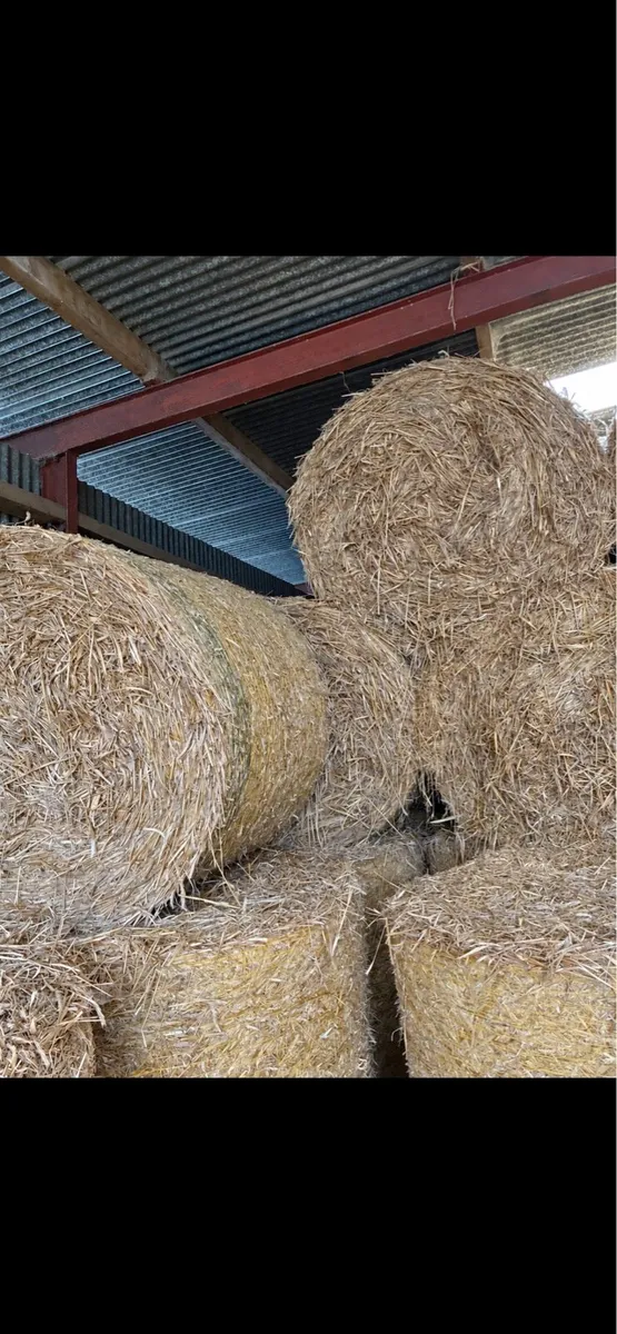 Straw - Image 2