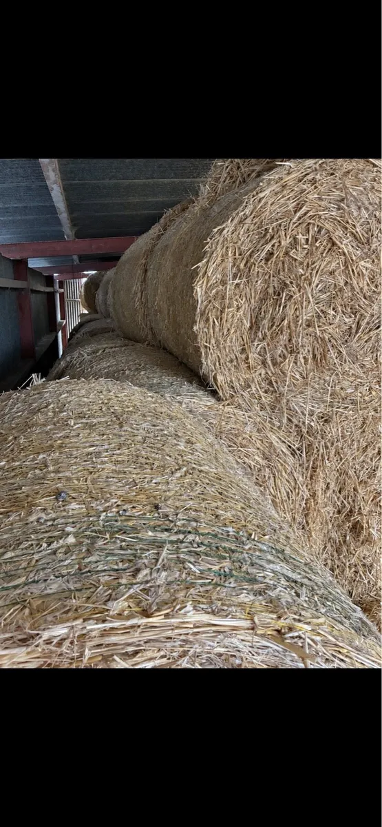 Straw - Image 3