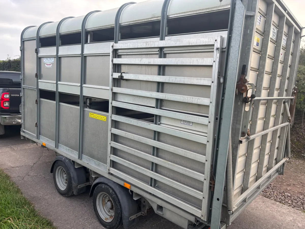 Ifor williams 12ft x 6ft 6” cattle / sheep trailer - Image 2