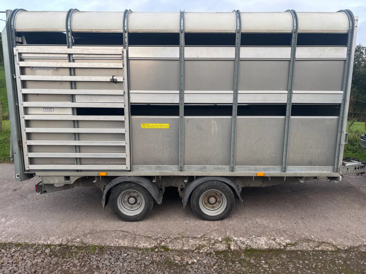 Ifor williams 12ft x 6ft 6” cattle / sheep trailer - Image 3