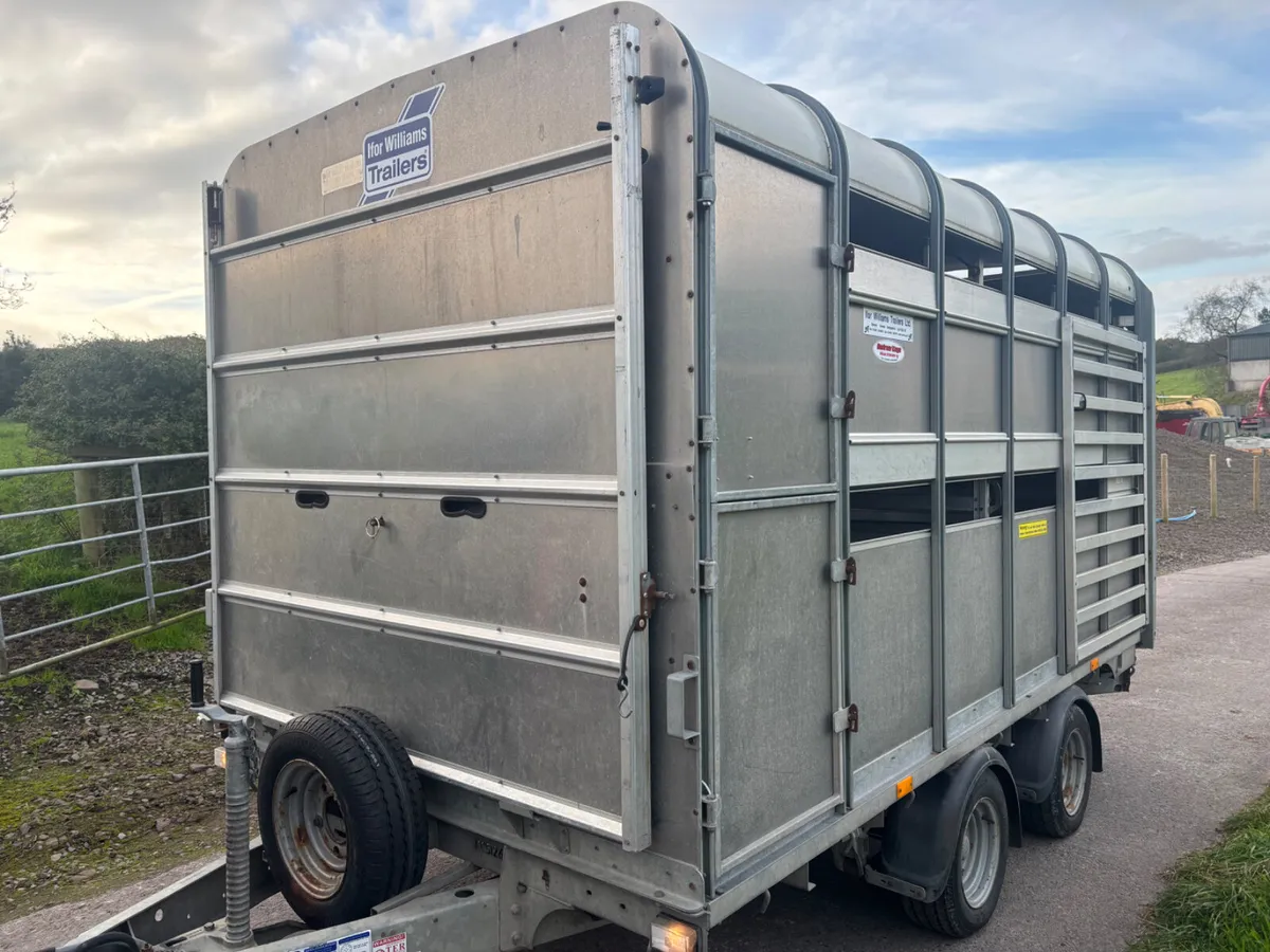 Ifor williams 12ft x 6ft 6” cattle / sheep trailer - Image 1