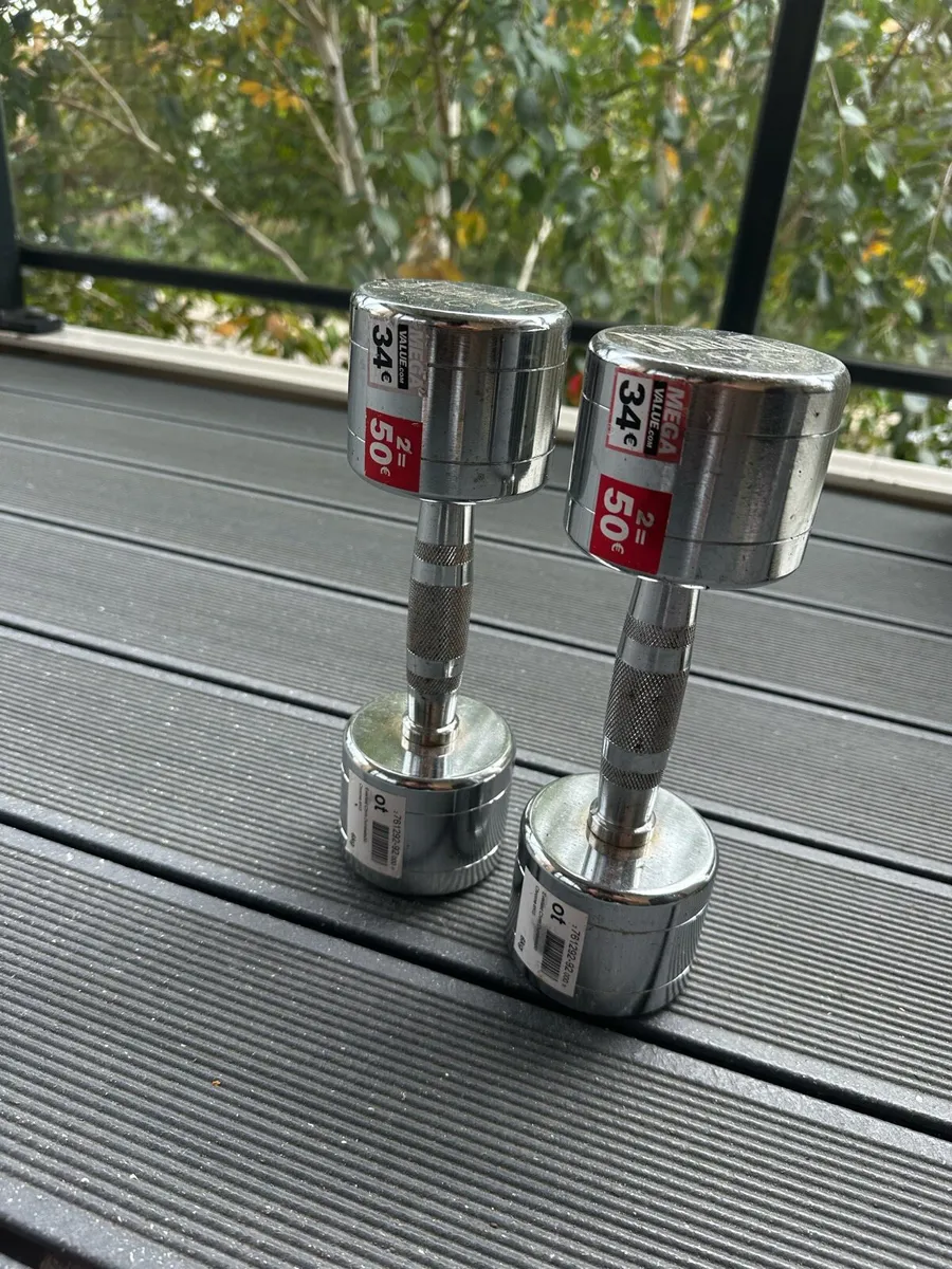 Premium Dumbbells - Image 1