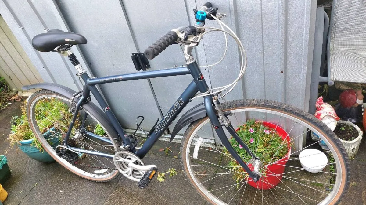 Ridgeback Velocity Trekking Bike 💯 % - Image 1