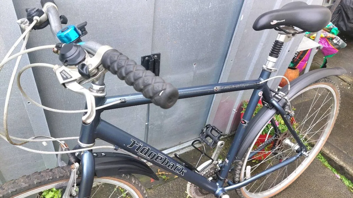 Ridgeback Velocity Trekking Bike 💯 % - Image 2