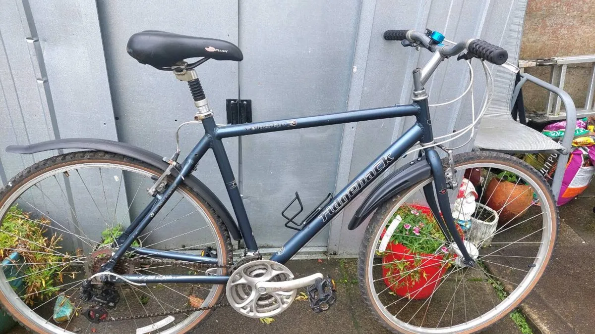 Ridgeback Velocity Trekking Bike 💯 % - Image 3
