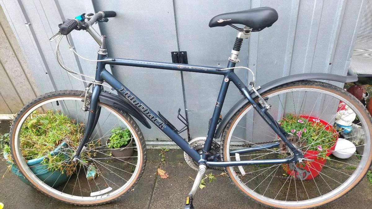 Ridgeback Velocity Trekking Bike 💯 % - Image 4