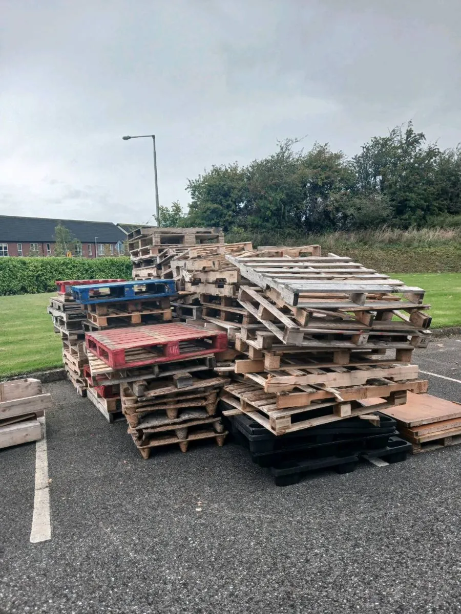 Pallets - Image 1