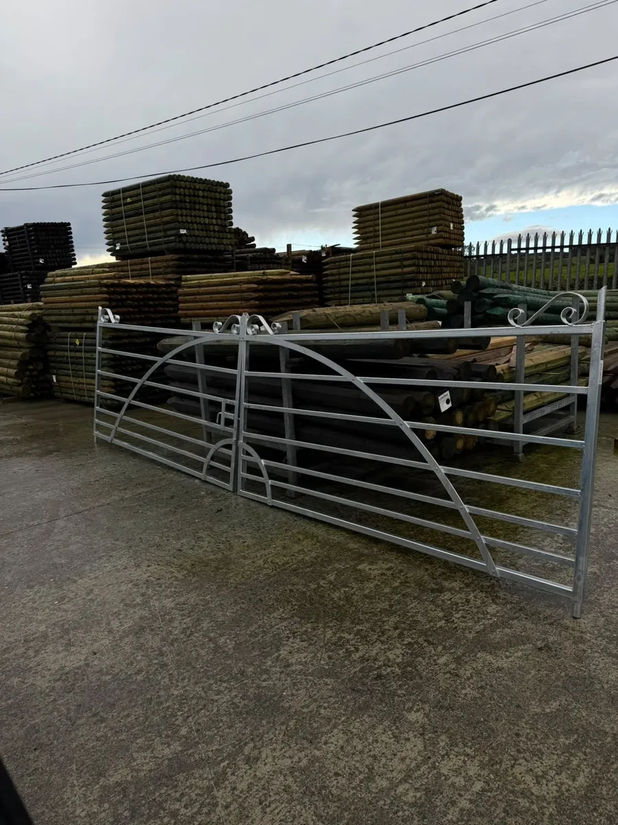 Galvanised Country Style Gates - Image 4