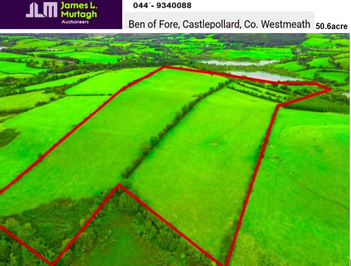 50.6 Acre Non-Residential  Farm ,   Castlepollard. - Image 1