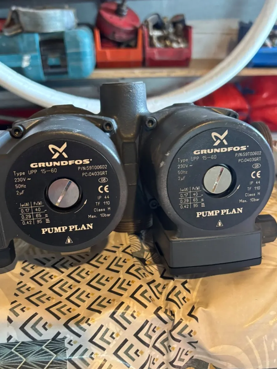 Grundfos Dual Circulating Pumps - Image 2