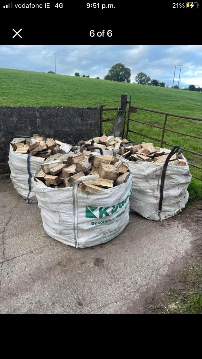 Firewood - Image 1