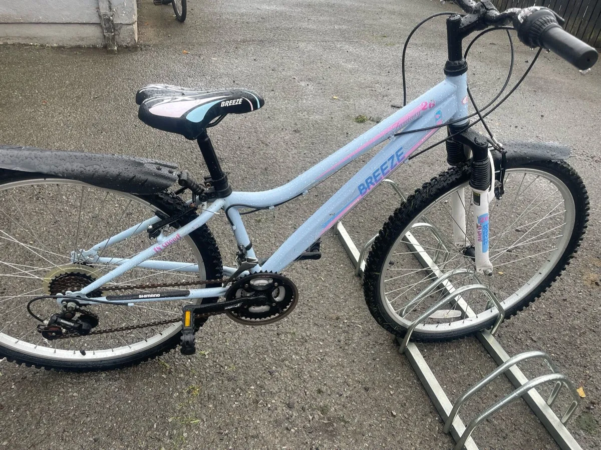 Beautiful ladies /teenagers bike - Image 1