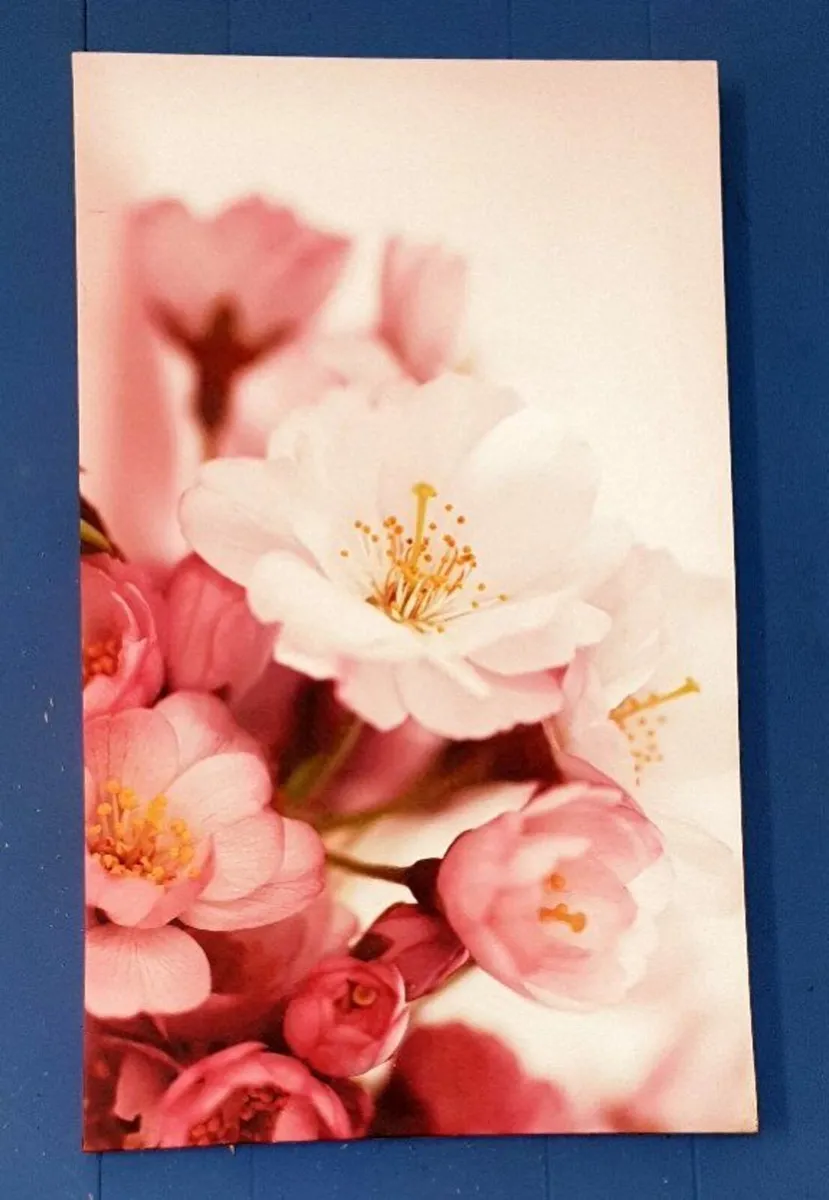 Pristine Vintage Harrods Canvas Art (3ftx18") - Image 3