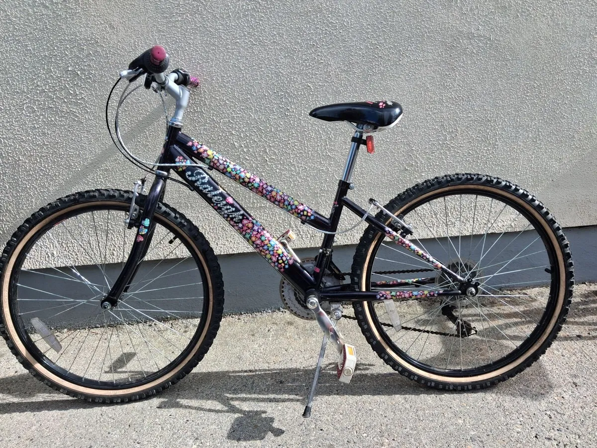 Bicycle - Image 1