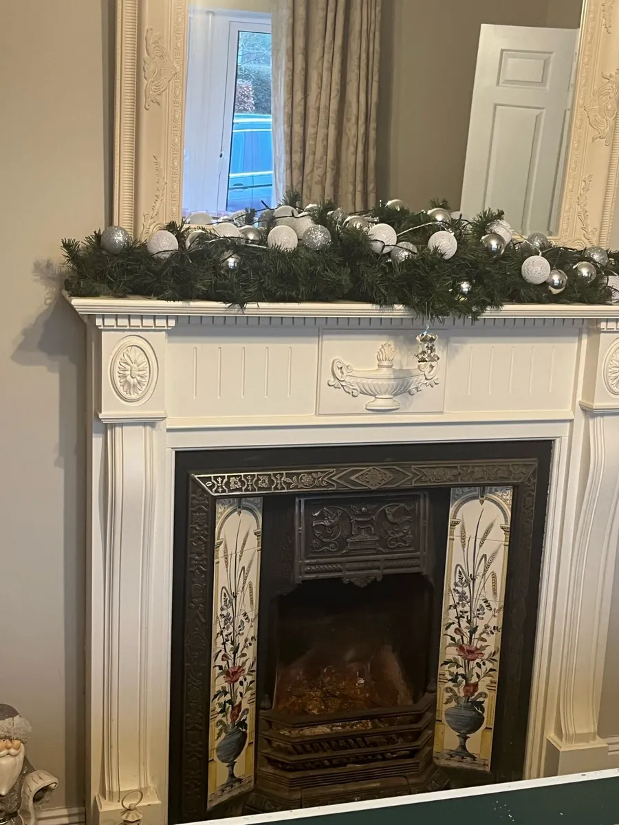 Fireplace surround and insert - Image 1