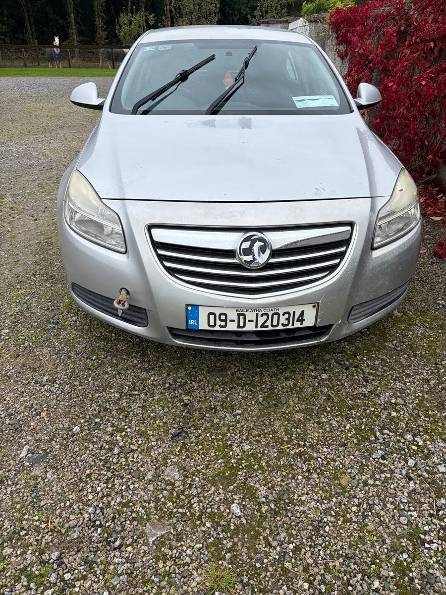 Parts for an 09   Vauxhall insignia. Silver, engin - Image 1