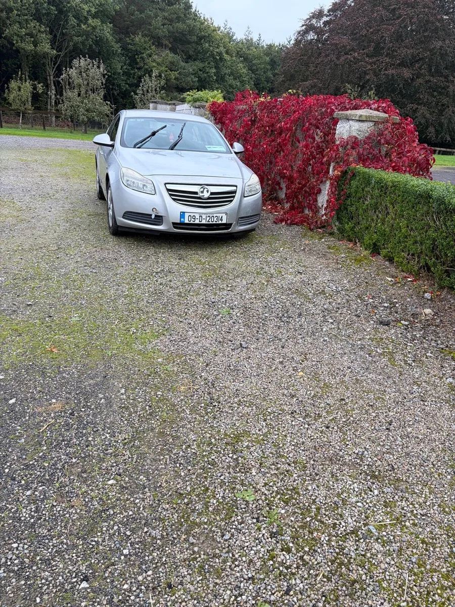 Parts for an 09   Vauxhall insignia. Silver, engin - Image 2