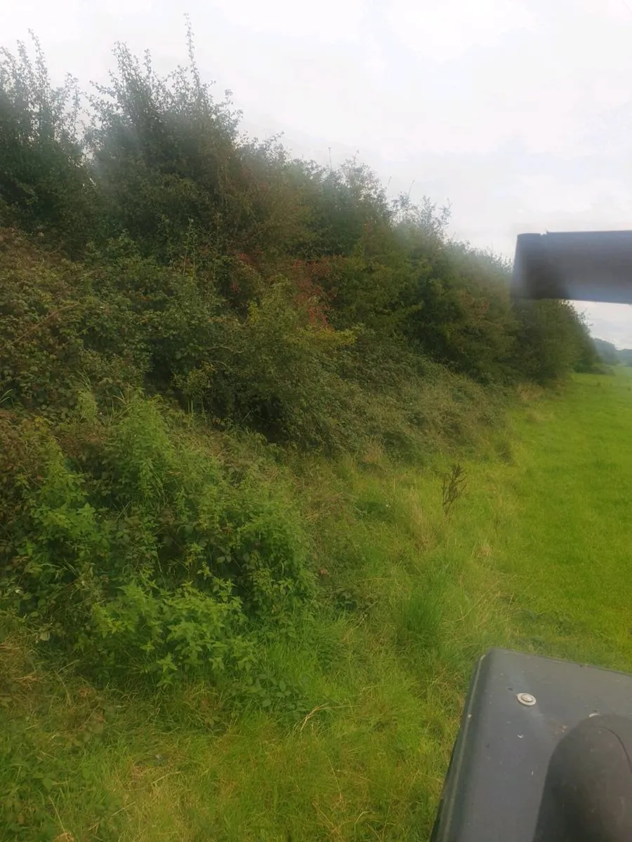 Hedge Cutting - Image 1