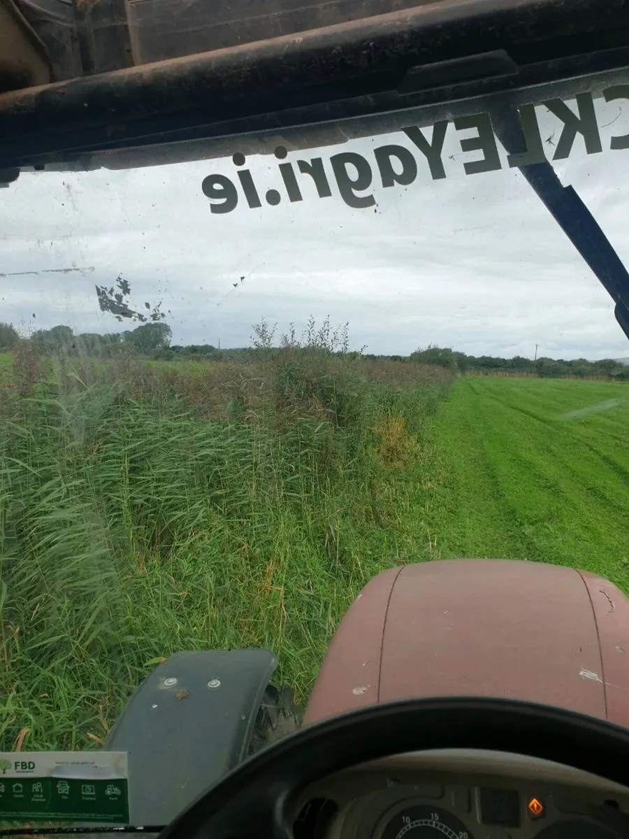 Hedge Cutting - Image 2