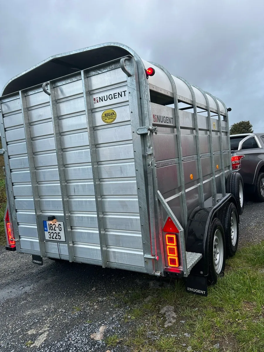 Nugent cattle trailer - Image 2