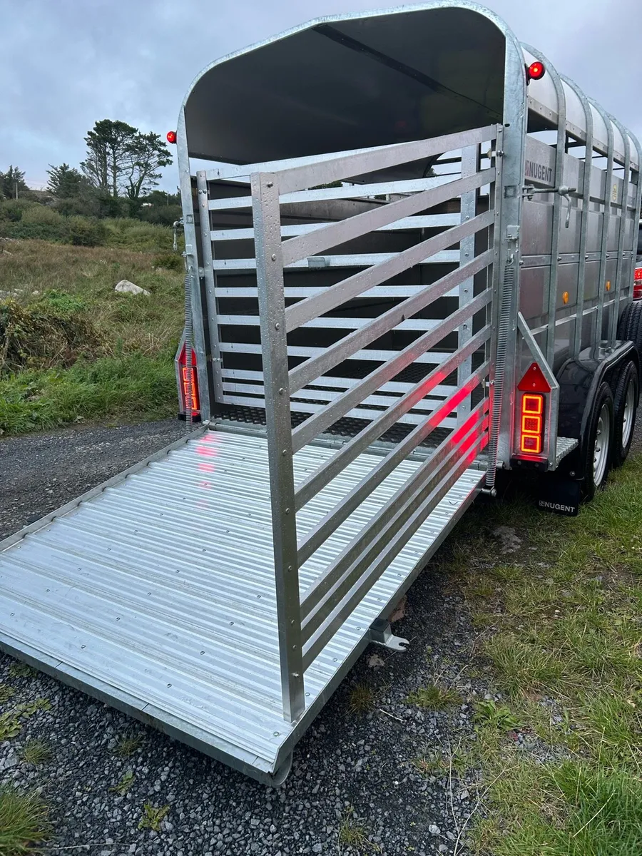 Nugent cattle trailer - Image 3