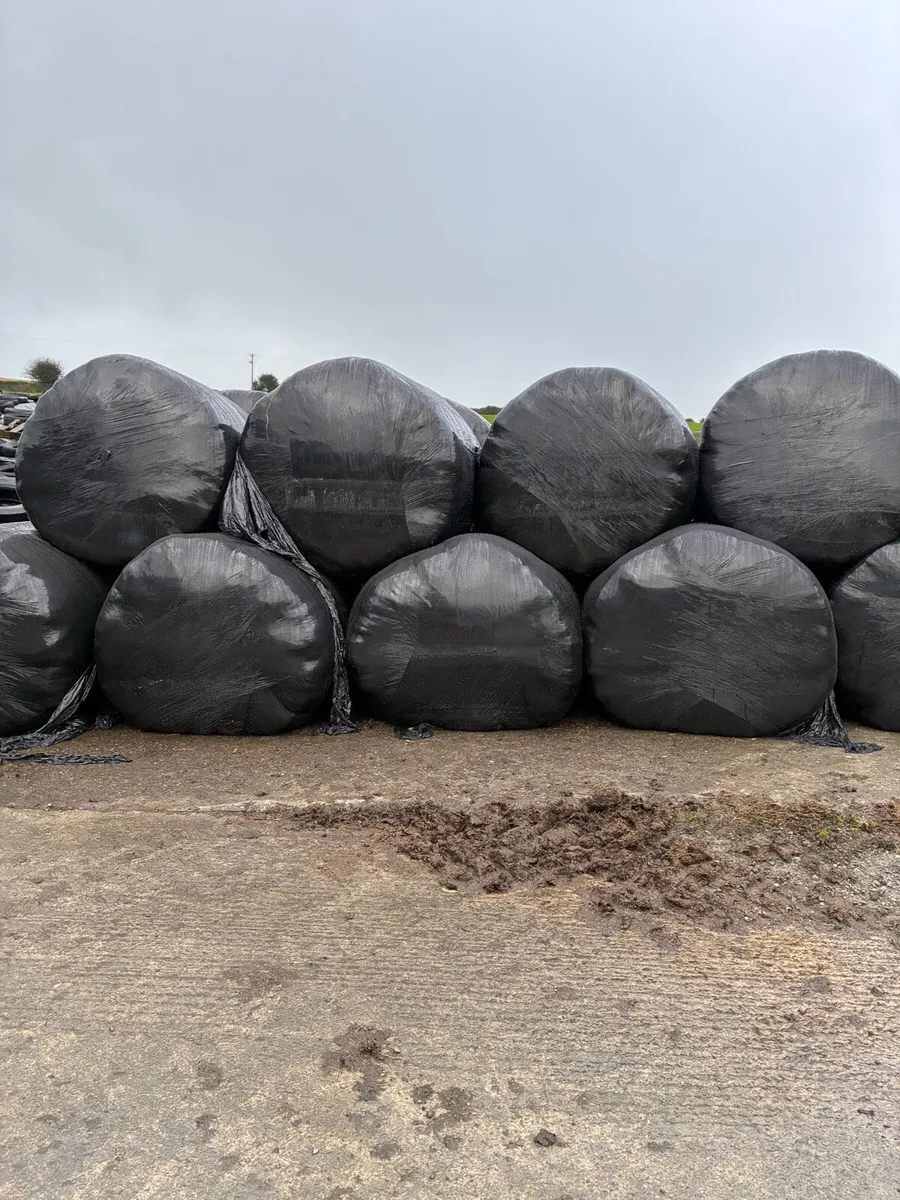 Silage