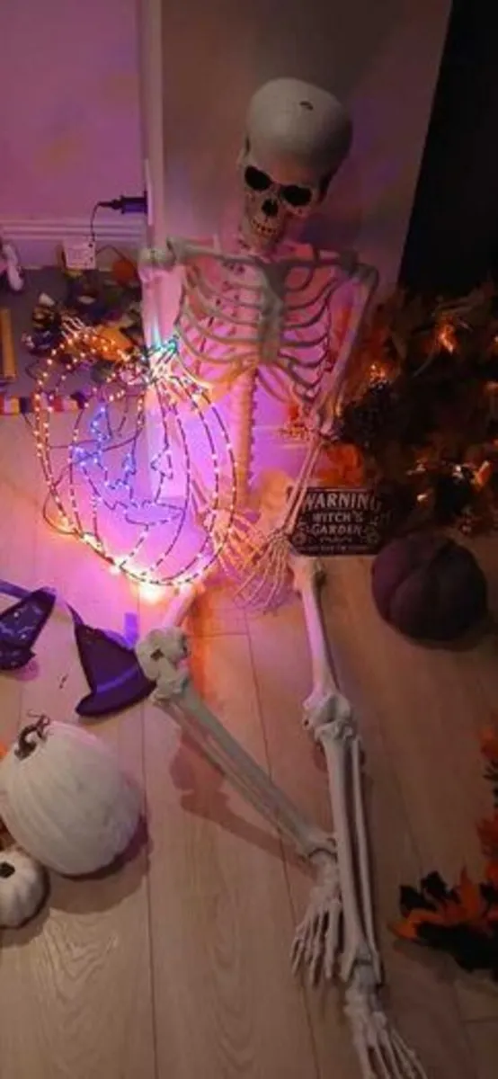 Life size skeleton - Image 2